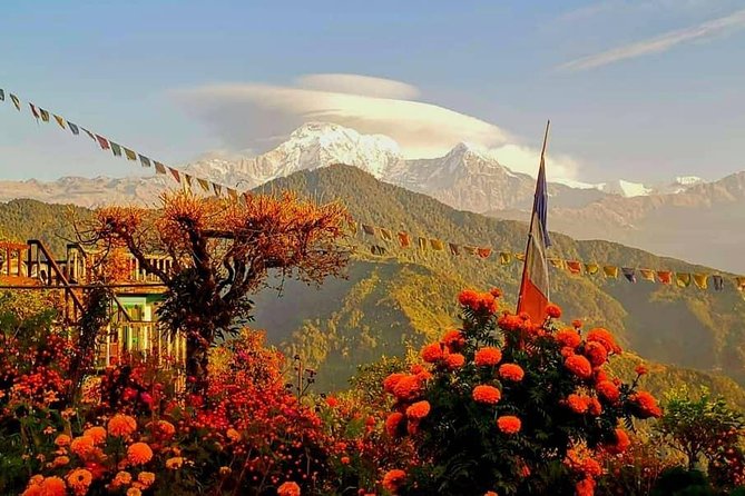 1-Day Private Dhampus Trekking Tour - Why Dhampus makes sense from Pokhara