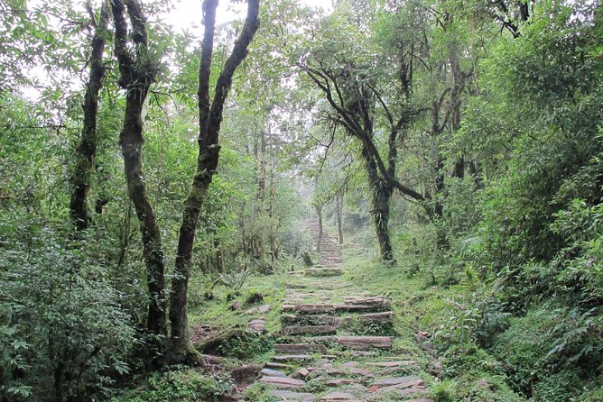 1-Day Private Dhampus Trekking Tour - Dhampus and the Australian Camp views