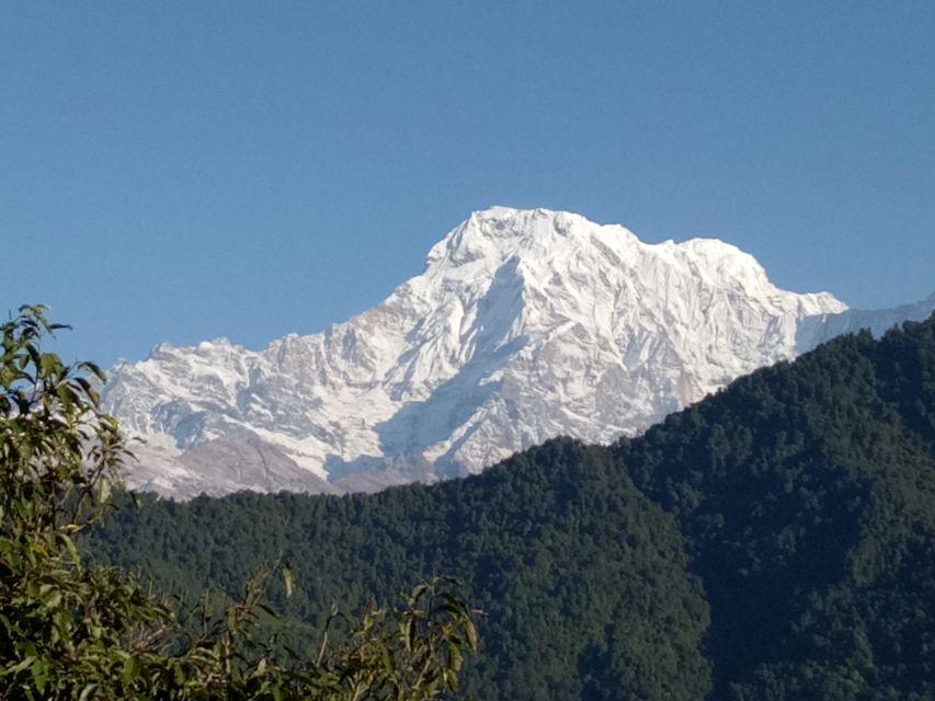 1 N 2 Days easy Dhampus,Australian camp trek from Pokhara - Is $86 good value?