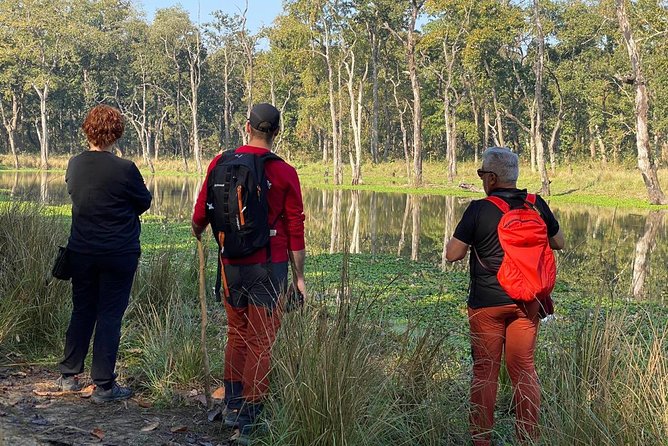 1 Night 2 Days Chitwan Jungle Safari Tour from Kathmandu - Tharu village, elephant stable, and sunset viewpoint