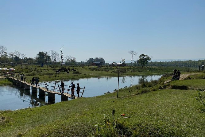 1 Night 2 Days Chitwan Jungle Safari Tour from Kathmandu - The early morning jeep safari