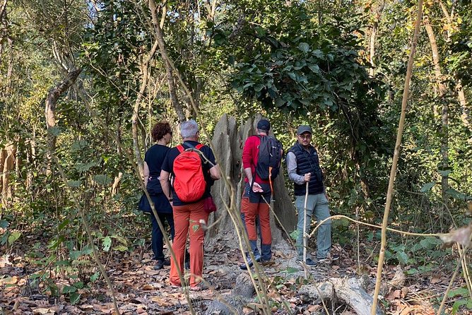 1 Night 2 Days Chitwan Jungle Safari Tour from Kathmandu - The return to Kathmandu and the real time cost