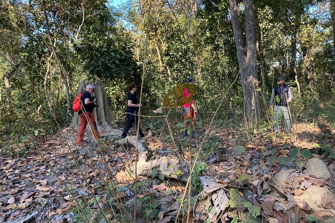 1 Night 2 Days Chitwan Jungle Safari Tour from Kathmandu - Who will enjoy this short Chitwan trip