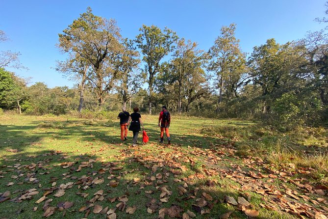 1 Night 2 Days Chitwan Jungle Safari Tour from Pokhara or Kathmandu - What this two-day Chitwan trip really offers