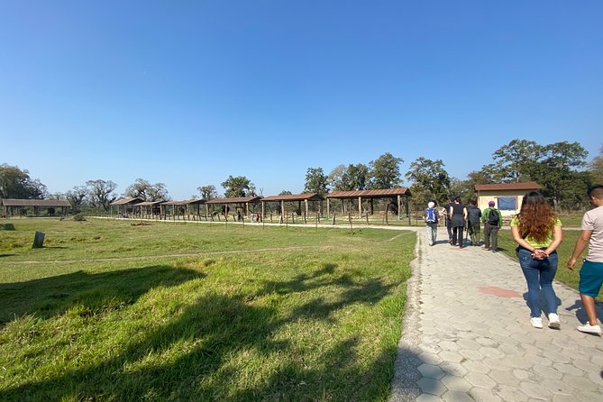 1 Night 2 Days Chitwan Jungle Safari Tour from Pokhara or Kathmandu - Early birdwatching before the return journey