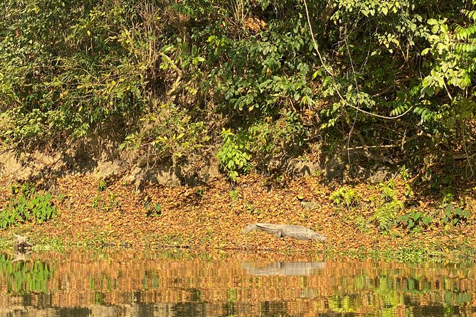 1 Night 2 Days Chitwan Jungle Safari Tour from Pokhara or Kathmandu - The early bus from Kathmandu or Pokhara
