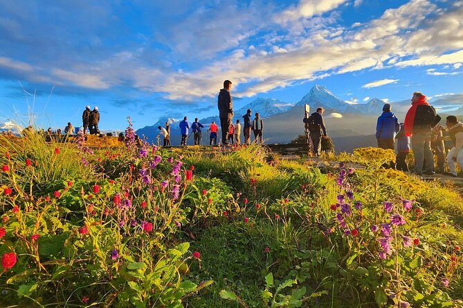 10 Days Private Guided Annapurna Basecamp Trek via Poon Hill - Day 2: Ulleri to Ghorepani through villages and forest