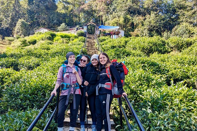 10 Days Private Guided Annapurna Basecamp Trek via Poon Hill - Day 3: Poon Hill sunrise from Ghorepani