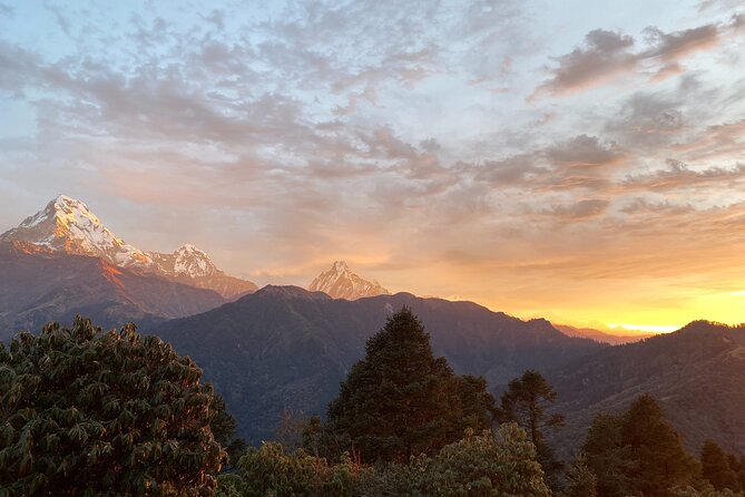 10 Days Private Guided Annapurna Basecamp Trek via Poon Hill - Day 5: Chhomrong, the suspension bridge, and bamboo forest