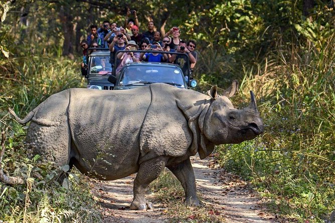 10 days Special Nepal Tour Package - Day ten leaves room for your own plans