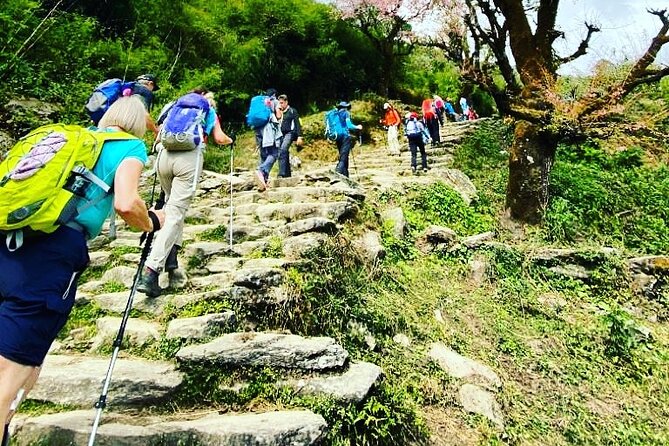 11-Day Hike Tour to Annapurna Base Camp Bliss in Kathmandu - From Kathmandu to the Annapurna foothills