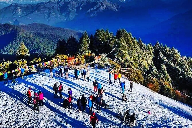 11-Day Hike Tour to Annapurna Base Camp Bliss in Kathmandu - Through rhododendron forest to Deurali