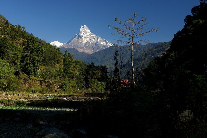 12-Day Nepal Adventure Trek with Jungle Safari - Why This 12-Day Nepal Trip Works