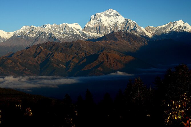 12-Day Nepal Adventure Trek with Jungle Safari - Day 4: Nayapul, Birethanti, And Tikhedhunga