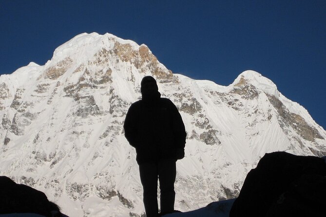 12 Days Annapurna Base Camp Trek - What This 12-Day Himalayan Route Really Offers