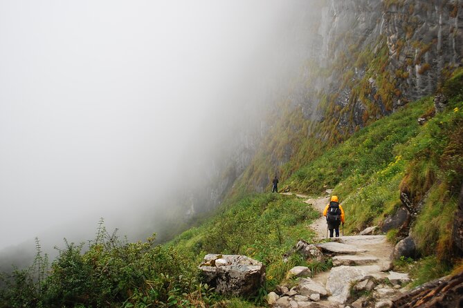 12 Days Annapurna Base Camp Trek - Days 7 and 8: Bamboo Forests to Annapurna Base Camp