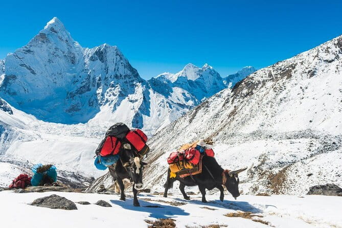 12 Days Everest Base Camp Trek from Kathmandu - Day 3: Acclimatization and the View from Namche