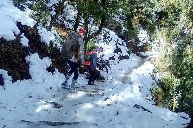 12 Days Everest Base Camp Trek from Kathmandu - Day 5: Pangboche, Orsho, and Dingboche