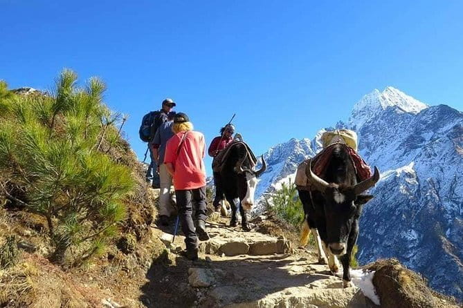 14 Days Everest Base Camp Trekking - Pangboche and Dingboche, where altitude takes over