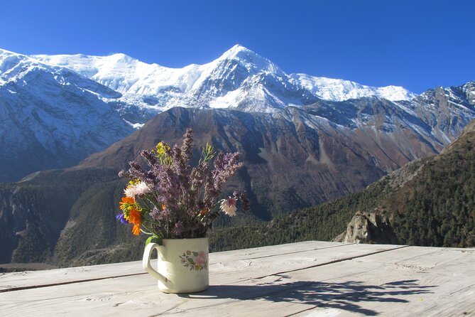 15-Day Private Annapurna Circuit Trek from Kathmandu - Pisang to Manang: forest, cliffs, and a choice of routes
