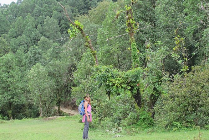 2-Day Private Trekking Tour to Australian Camp & Dhampus - Spending the Night Near Dhampus