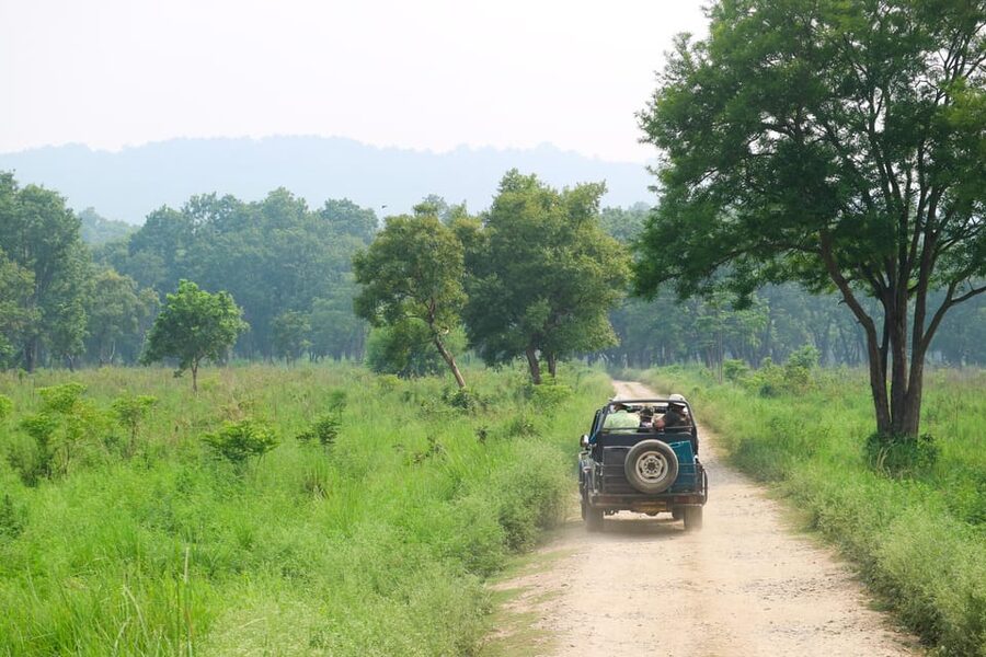 2 Days Chitwan Jungle Safari Tour from Pokhara/Kathmandu - Tharu village and evening cultural performance