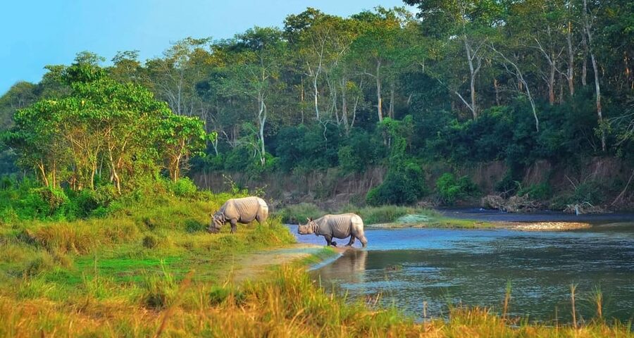 2 Days Chitwan Jungle Safari Tour from Pokhara/Kathmandu - Leaving Kathmandu or Pokhara before breakfast