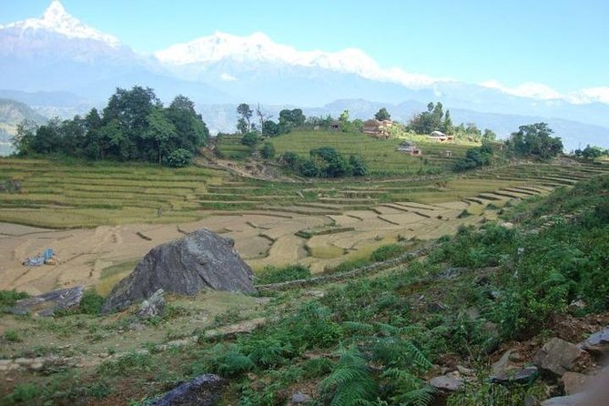 2 Days Panchase Hill Trek from Pokhara - Should you book the Panchase Hill trek?