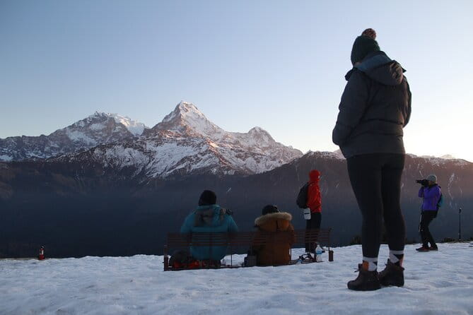 2 Days Very Short Poon Hill Trek from Pokhara - Day Two: Poon Hill Sunrise and the Long Return