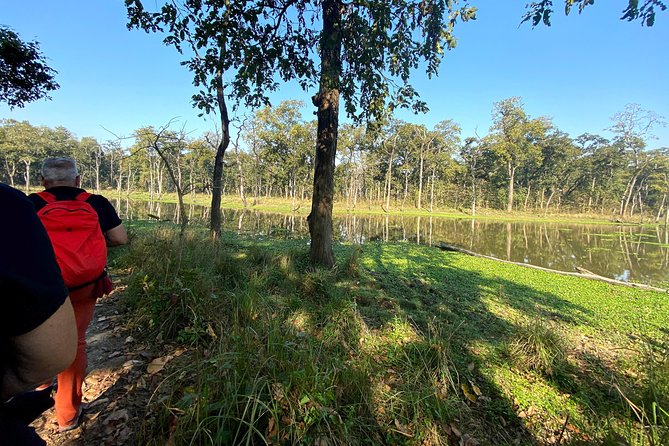 2 Hours Nature Walk in Chitwan National Park - Key points to know before booking
