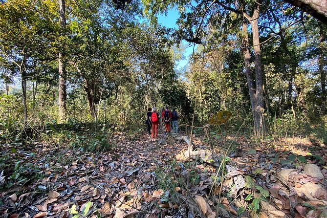 2 Hours Nature Walk in Chitwan National Park - A gentle way to meet Chitwan National Park