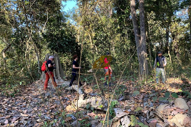 2 Hours Nature Walk in Chitwan National Park - Why two hours can be enough, and where it falls short
