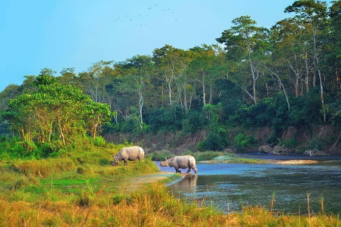 2 Night 3 Day Chitwan Jungle Safari Tour from Pokhara - Key points to know before booking
