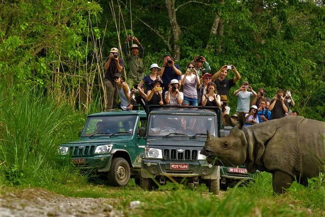 2 Night 3 Day Chitwan Jungle Safari Tour from Pokhara - Why Chitwan makes a good change from Pokhara