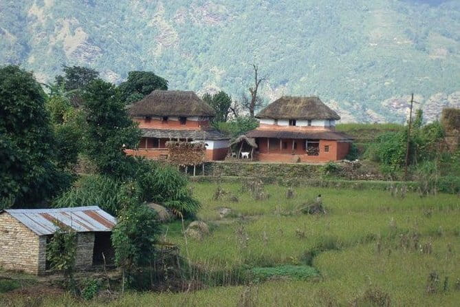 2 Night 3 Day Chitwan Jungle Safari Tour from Pokhara - Is $240 a fair price?