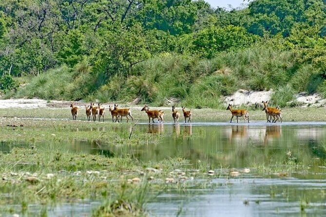 2 Night 3 Day Chitwan Jungle Safari Tour from Pokhara - The road from Pokhara to Sauraha