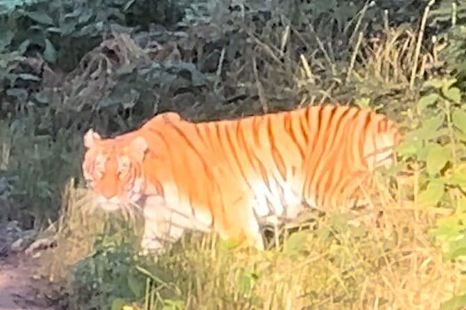 2 Nights 3 Days Chitwan National Park Package with Jeep Safari - Day 1: the long road from Kathmandu to Sauraha