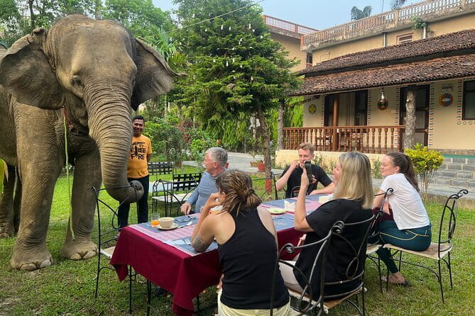 2 Nights 3 Days Chitwan National Park Package with Jeep Safari - Practical details that deserve attention