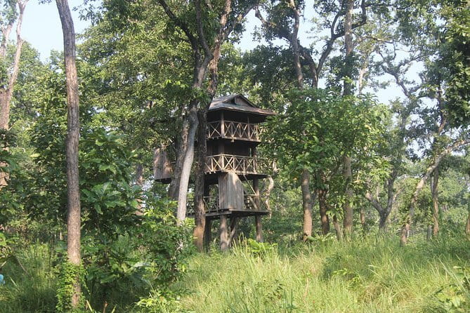 2 Nights 3 Days Chitwan National Park Package with Jeep Safari - Who will get the most from this Chitwan trip