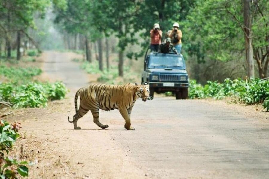 3-Day Chitwan Jungle Safari Adventure From Kathmandu/Pokhara - Five details that shape the experience