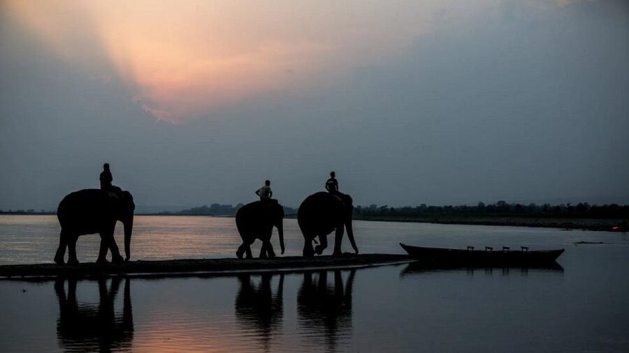 3-Day Chitwan Jungle Safari Adventure From Kathmandu/Pokhara - The Elephant Breeding Center adds context