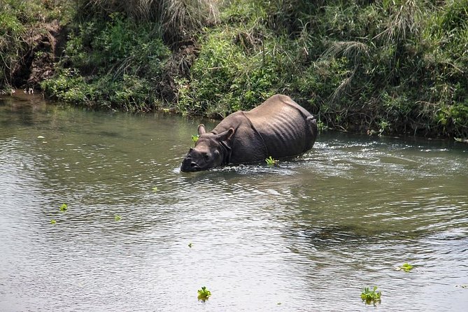 3-Day Chitwan Jungle Safari Tour from Kathmandu - Why Chitwan works as a short Nepal escape