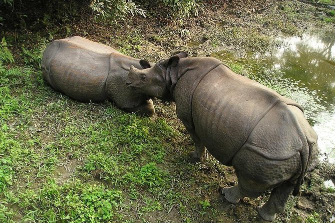 3-Day Chitwan Jungle Safari Tour from Kathmandu - Tharu culture beyond the safari vehicle