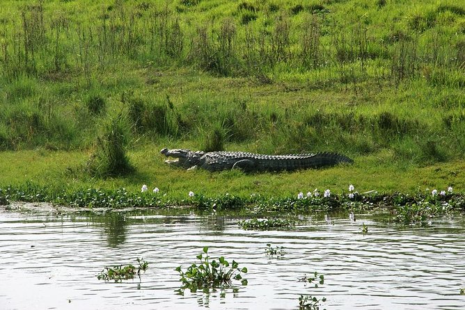 3-Day Chitwan Jungle Safari Tour from Kathmandu - Meals, rooms, and what $392 really covers