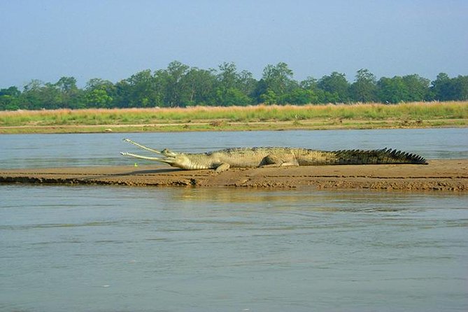 3-Day Chitwan Jungle Safari Tour from Kathmandu - The long road from Kathmandu on Day 1