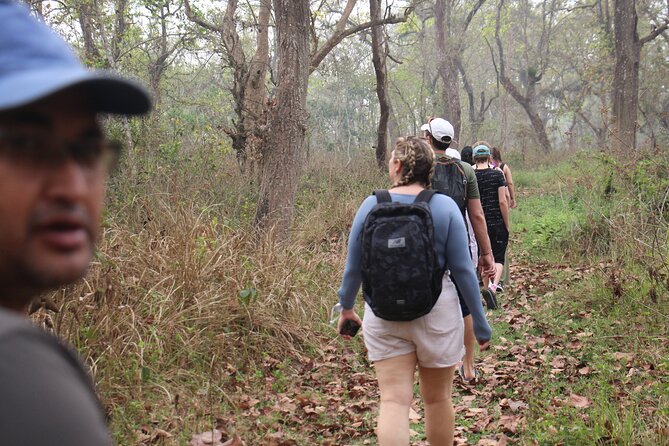 3-Day Chitwan National Park Jungle Safari Tour Package with Pick Up - From Kathmandu to Chitwan by tourist bus