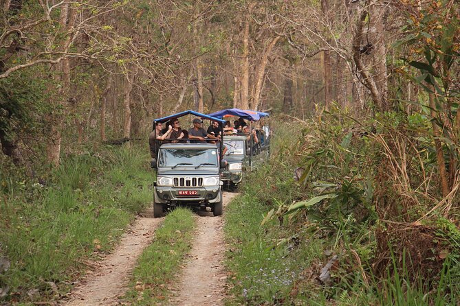 3-Day Chitwan National Park Jungle Safari Tour Package with Pick Up - The jungle walk and the limits of a group safari