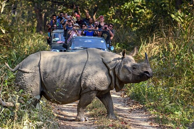 3-Day Chitwan National Park Jungle Safari Tour Package with Pick Up - What the $180 price really covers