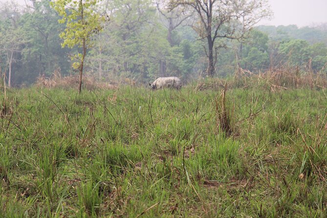 3-Day Chitwan National Park Jungle Safari Tour Package with Pick Up - Safety, support, and practical comfort