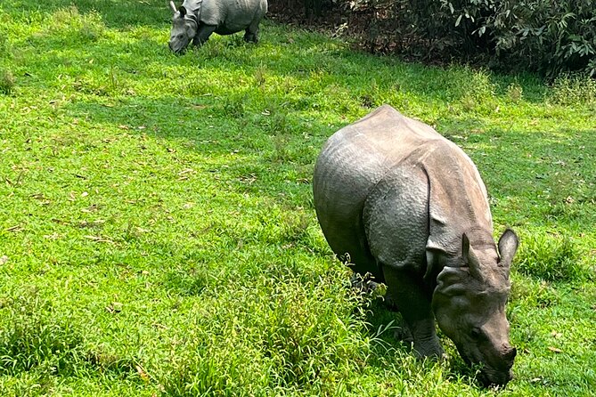 3-Day Guided Safari Tour in Chitwan National Park in Nepal - Why Chitwan works well after Kathmandu